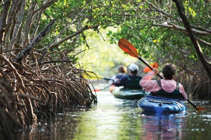 a man riding on the back of a boat next to a tree