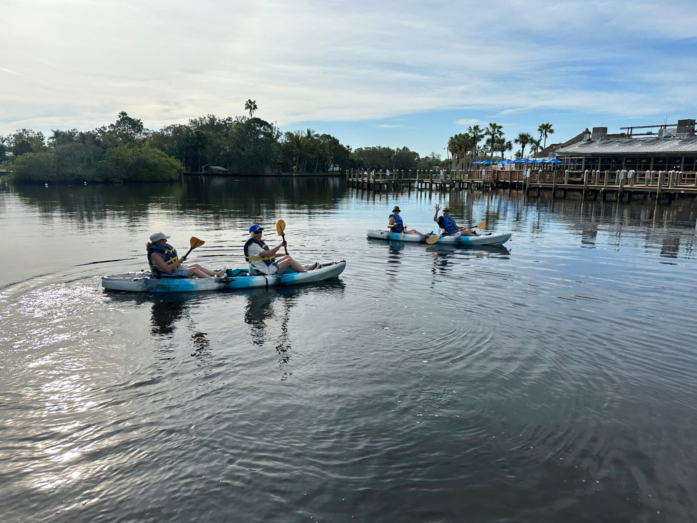 Kayak Tours